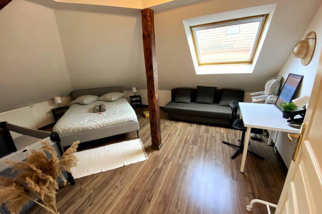 Bischheim10Min Bus Strasbourg Centre-Parking Prive-Wifi-Tv公寓 外观 照片